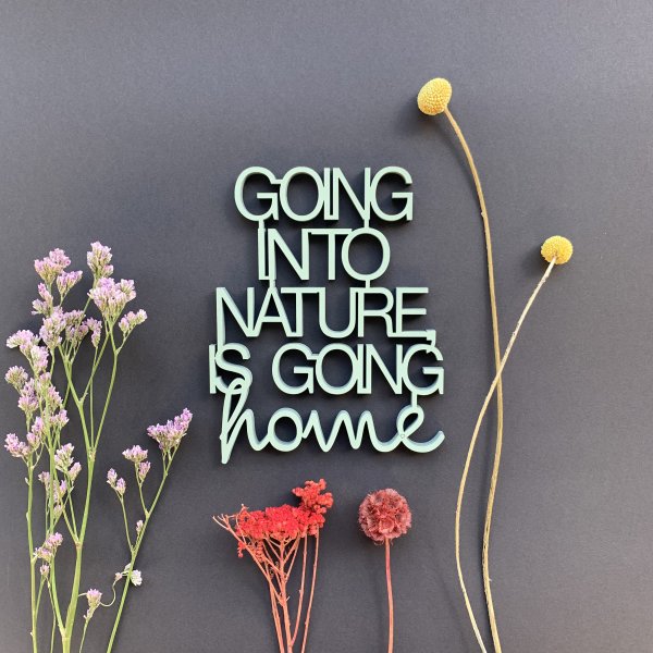 Going into nature is going home