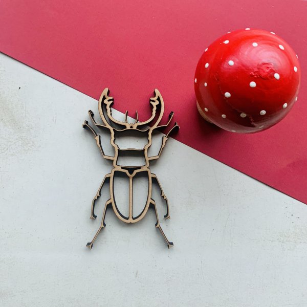 Stag Beetle