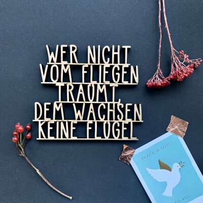 Wer nicht vom Fliegen träumt, dem wachsen keine...