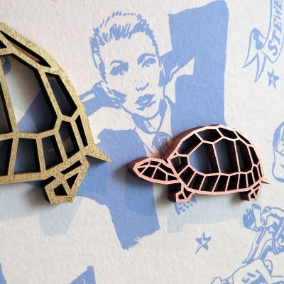 turtle small