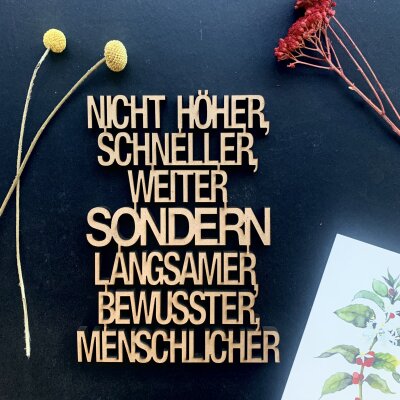 Nicht höher, schneller, weiter, sondern, lagnsamer,...