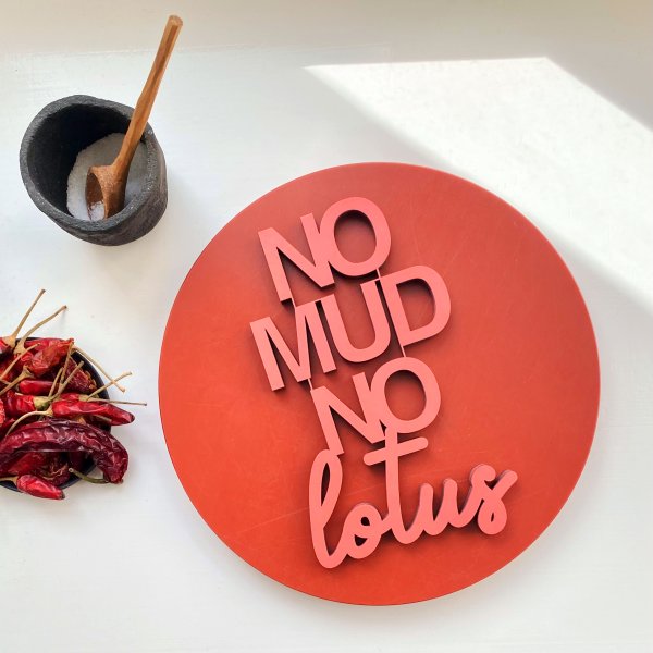 no mud no lotus