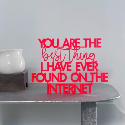 You are the best thing I have ever found on the internet