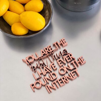 You are the best thing I have ever found on the internet