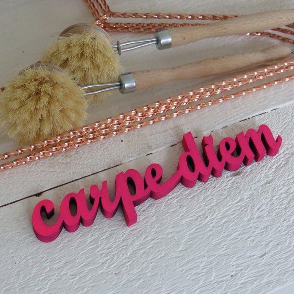 carpe diem