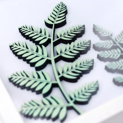 fern
