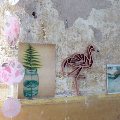 flamingo