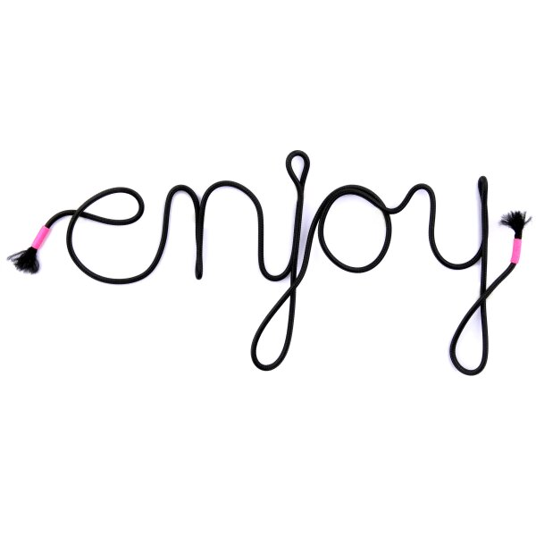 enjoy