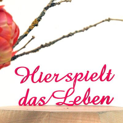 Hier spielt das Leben