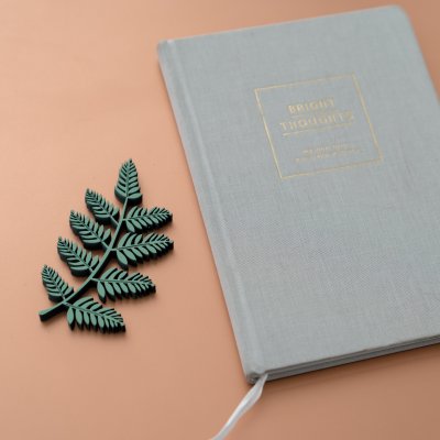 fern