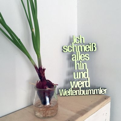 Ich schmeiß alles hin und werd Weltenbummler