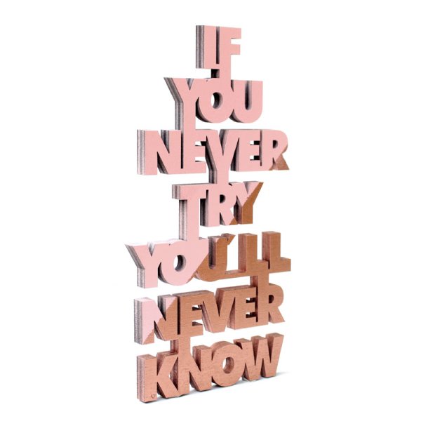 IF YOU NEVER TRY YOULL NEVER KNOW - Echtholz