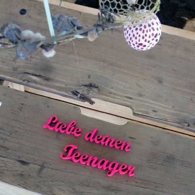 Liebe deinen Teenager