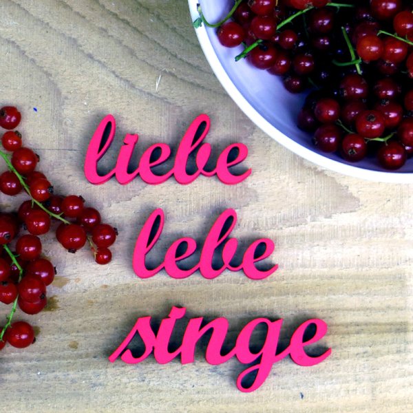 liebe lebe singe