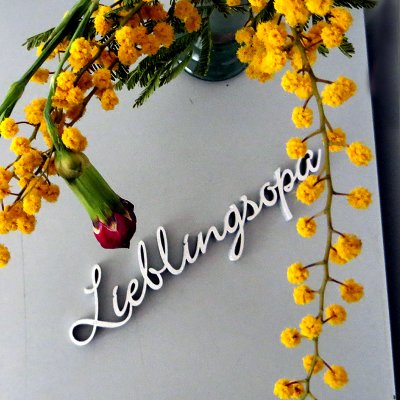 Lieblingsopa