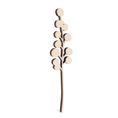 Mountain Bulrush
