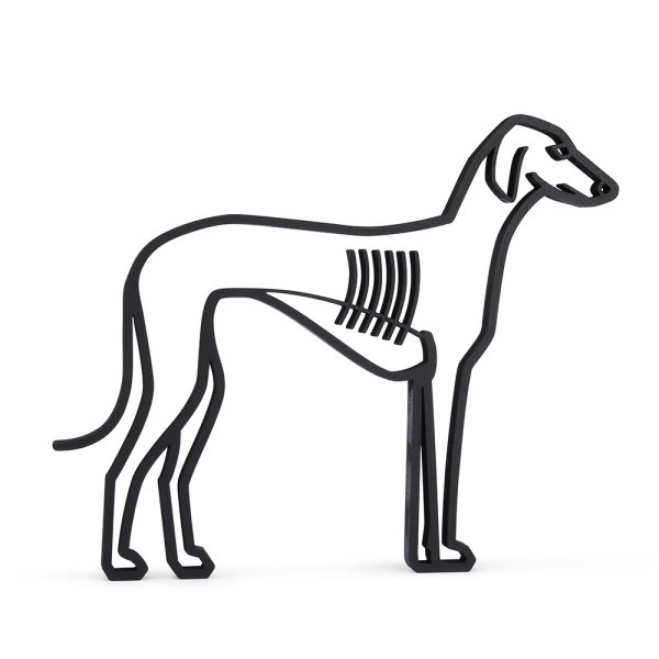 Greyhound